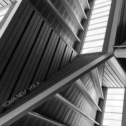 SOMA NEU Vol. 6 cover