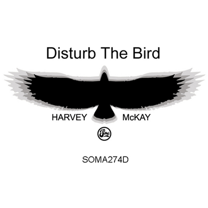 Disturb The Bird cover