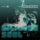 Silicone Soul Remixed