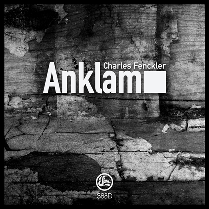 Anklam cover